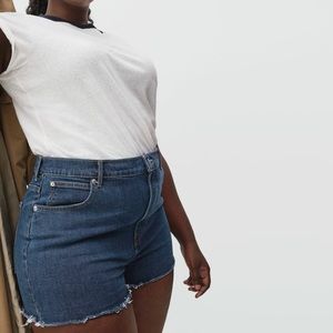 NWT Everlane The Way-High Jean Short I’m Washed Midnight 30